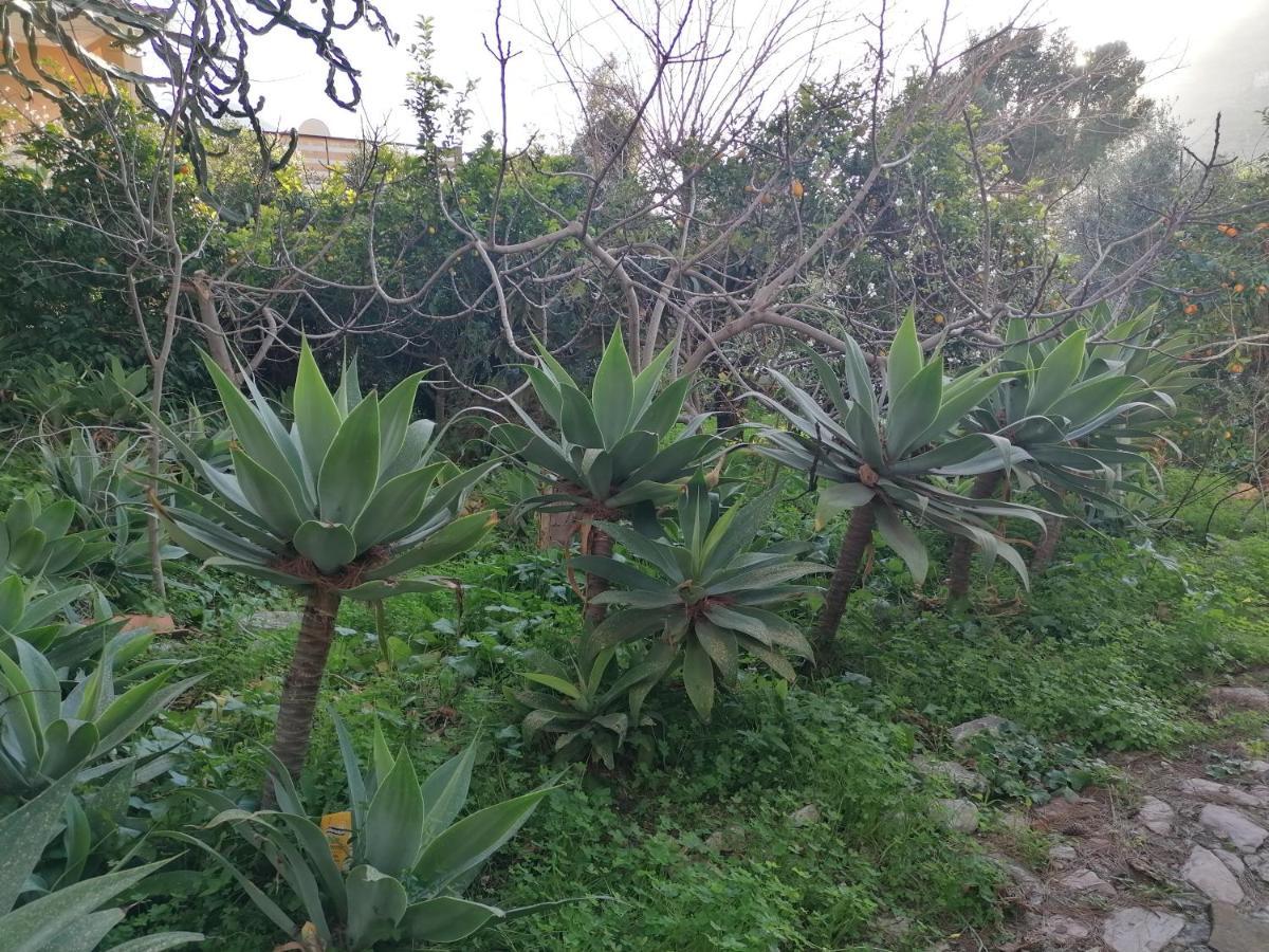 Villa Africa 卡帕奇 外观 照片